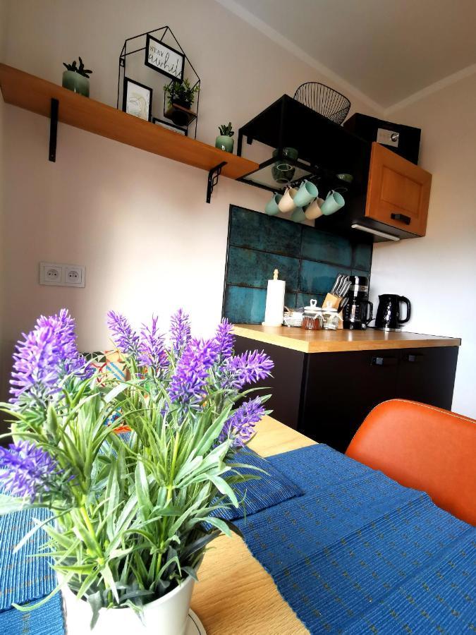 Apartament Na Wzgórzu Jelenia Góra Zewnętrze zdjęcie